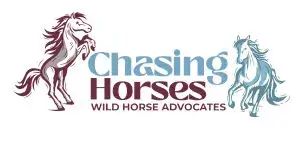 Chasing Horses