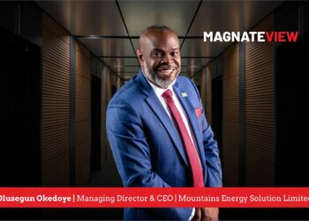 A Visionary Leader’s Journey Through Innovation and Impact: An Interview with Olusegun Okedoye, the Managing Director and CEO of Mountains Energy Solution Limited