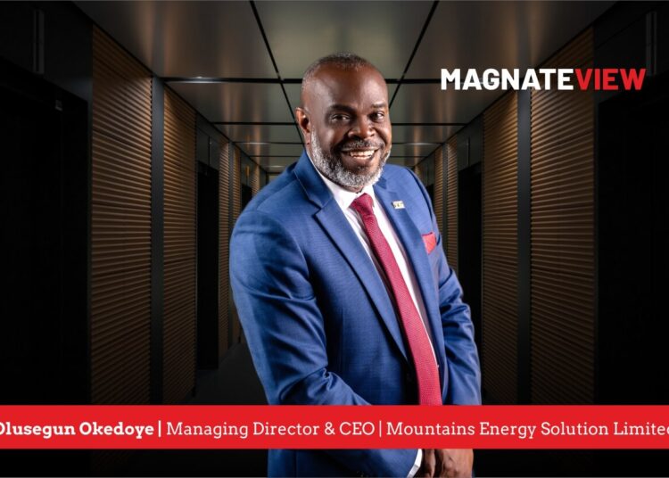 A Visionary Leader’s Journey Through Innovation and Impact: An Interview with Olusegun Okedoye, the Managing Director and CEO of Mountains Energy Solution Limited
